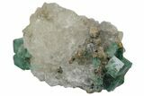 Fluorescent Green Rogerley Fluorite On Quartz #173990-1